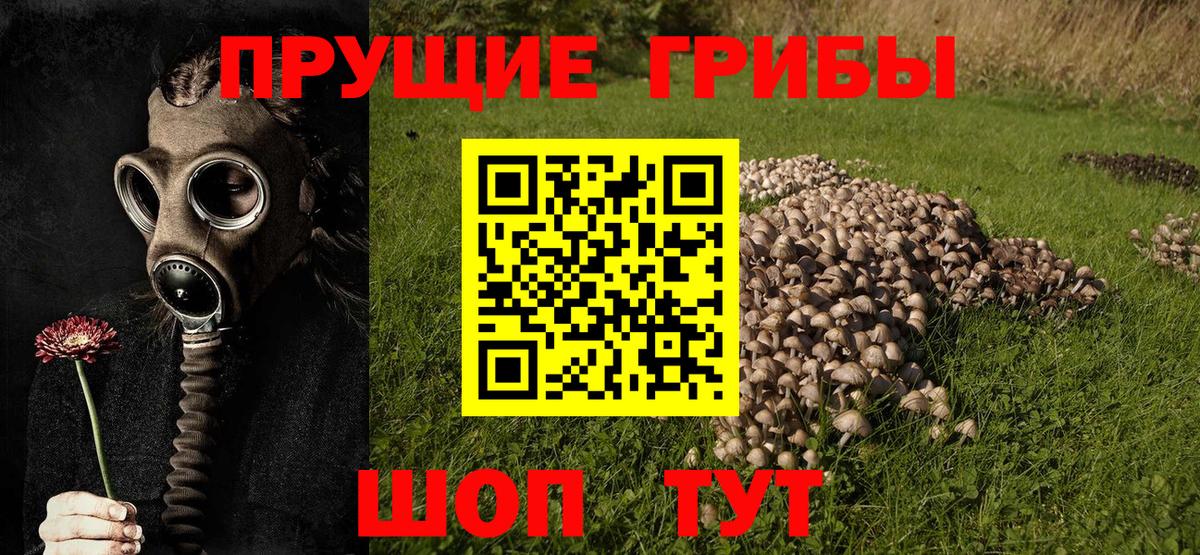 хочу   Псилоцибиновые грибы мицелий  Вход с VPN  Ухта 